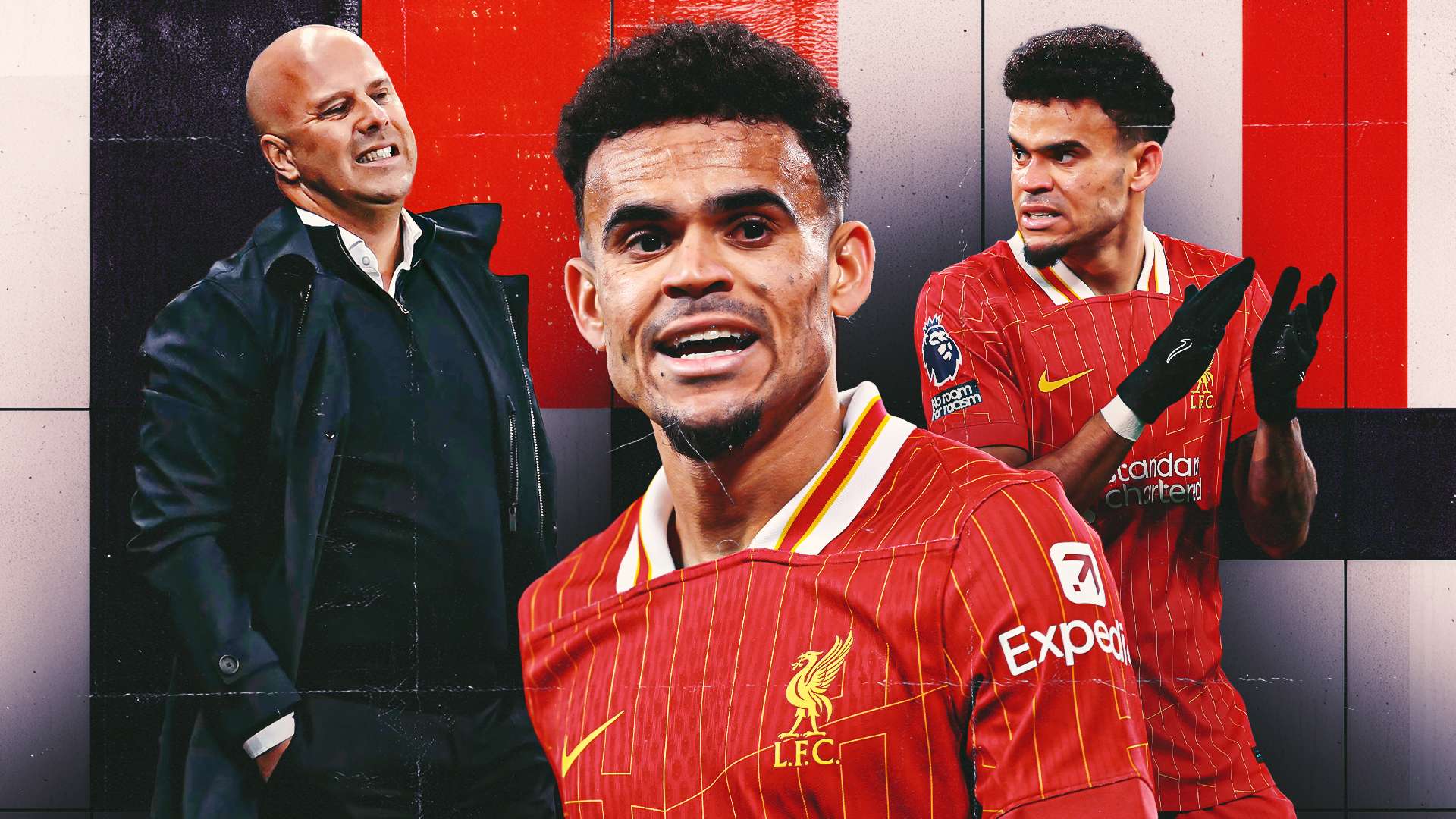 更是中国队 更是中国队